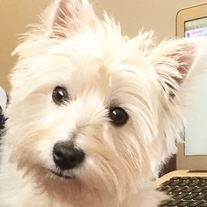 Meet your Posher, Tye